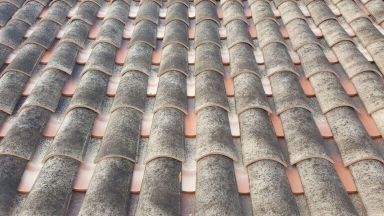 Curved Lucentum Roof Tile Image 3
